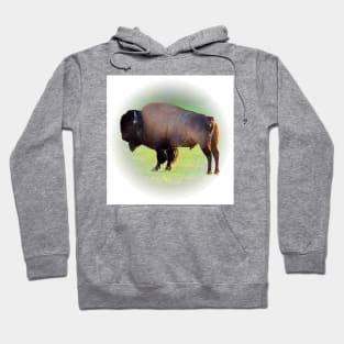 Bison Hoodie